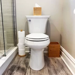 2pc Toilet Paper Refill And Tissue Box - Mind Reader