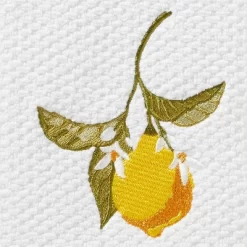 2pc Citrus Grove Hand Towel - SKL Home